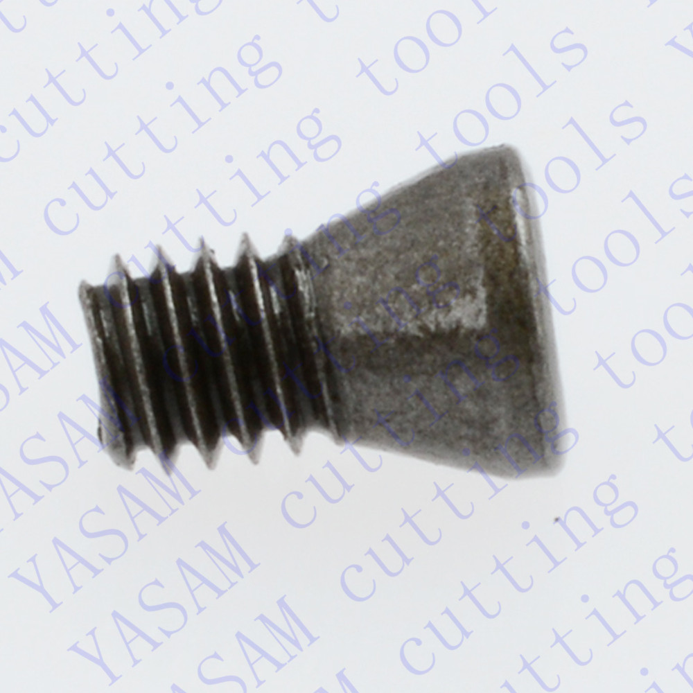 12955-M2.5h0.6x5xD3.6xT8 insert screws